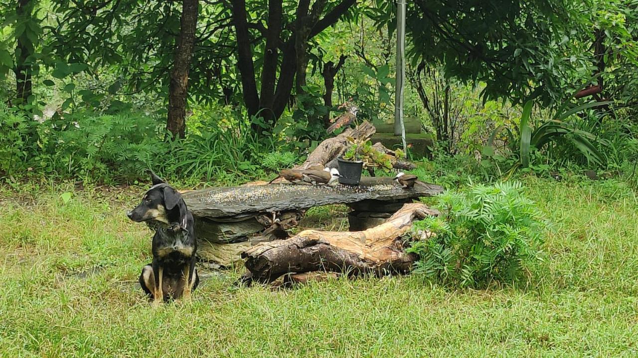 Hobo Huts By The Riverside Panuānaula Extérieur photo