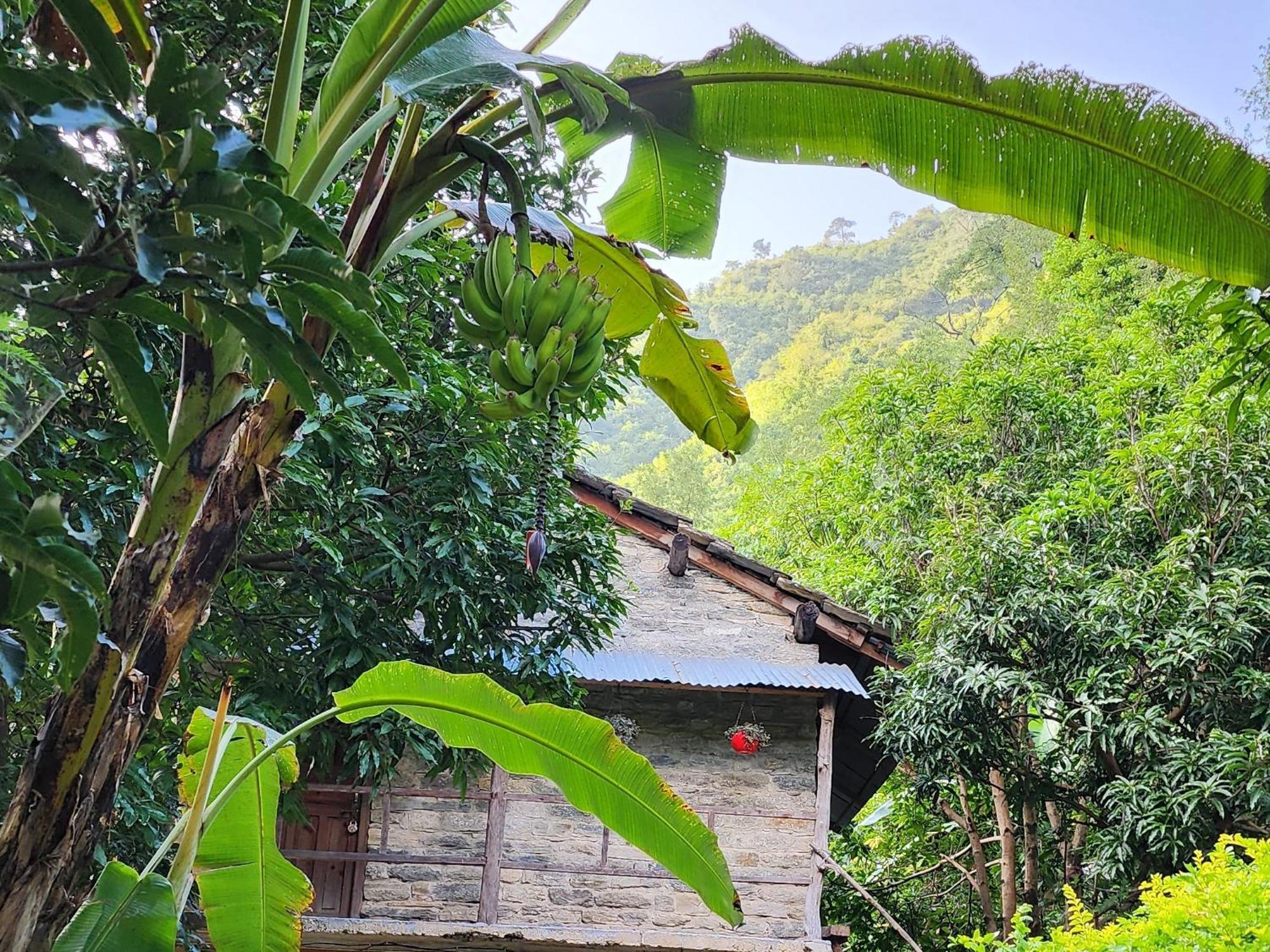 Hobo Huts By The Riverside Panuānaula Extérieur photo